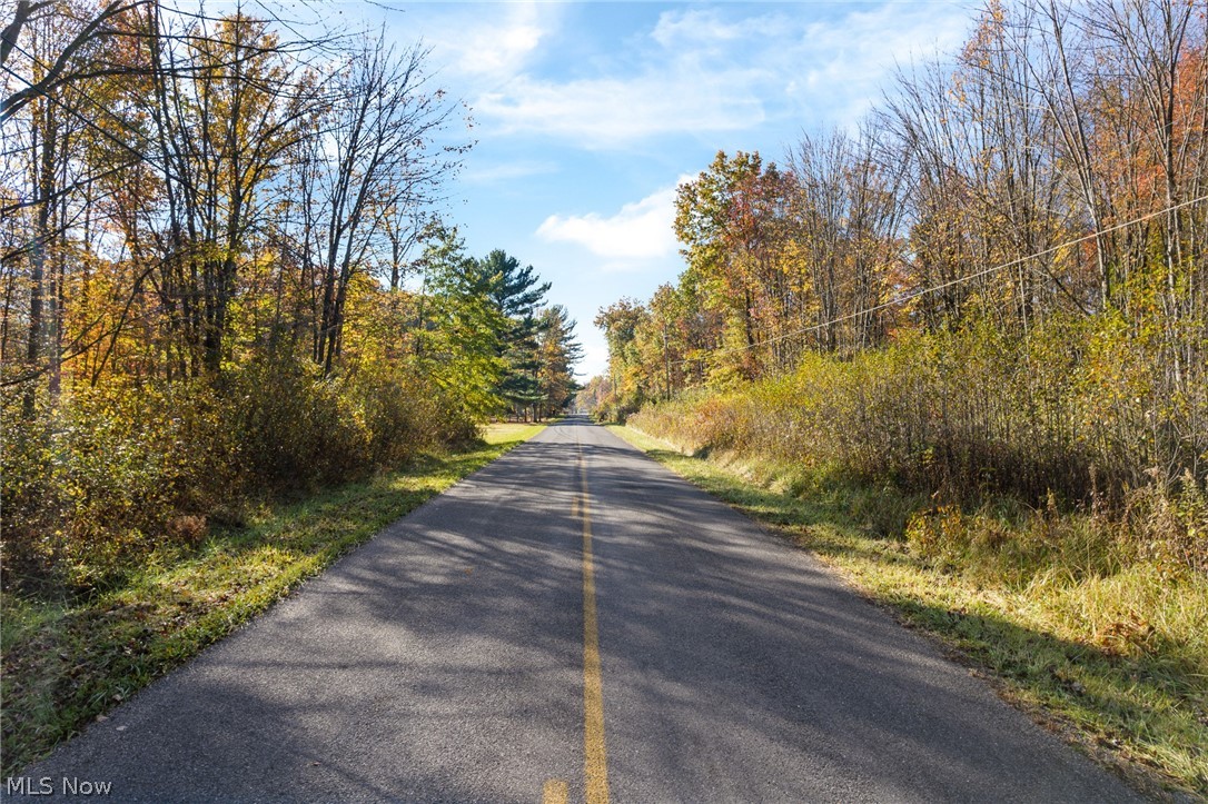Wayland Road Deerfield OH 44411