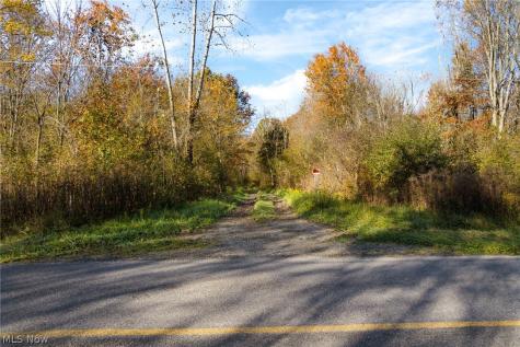Wayland Road Deerfield OH 44411