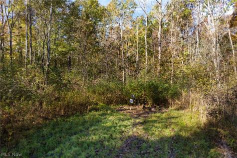 Wayland Road Deerfield OH 44411