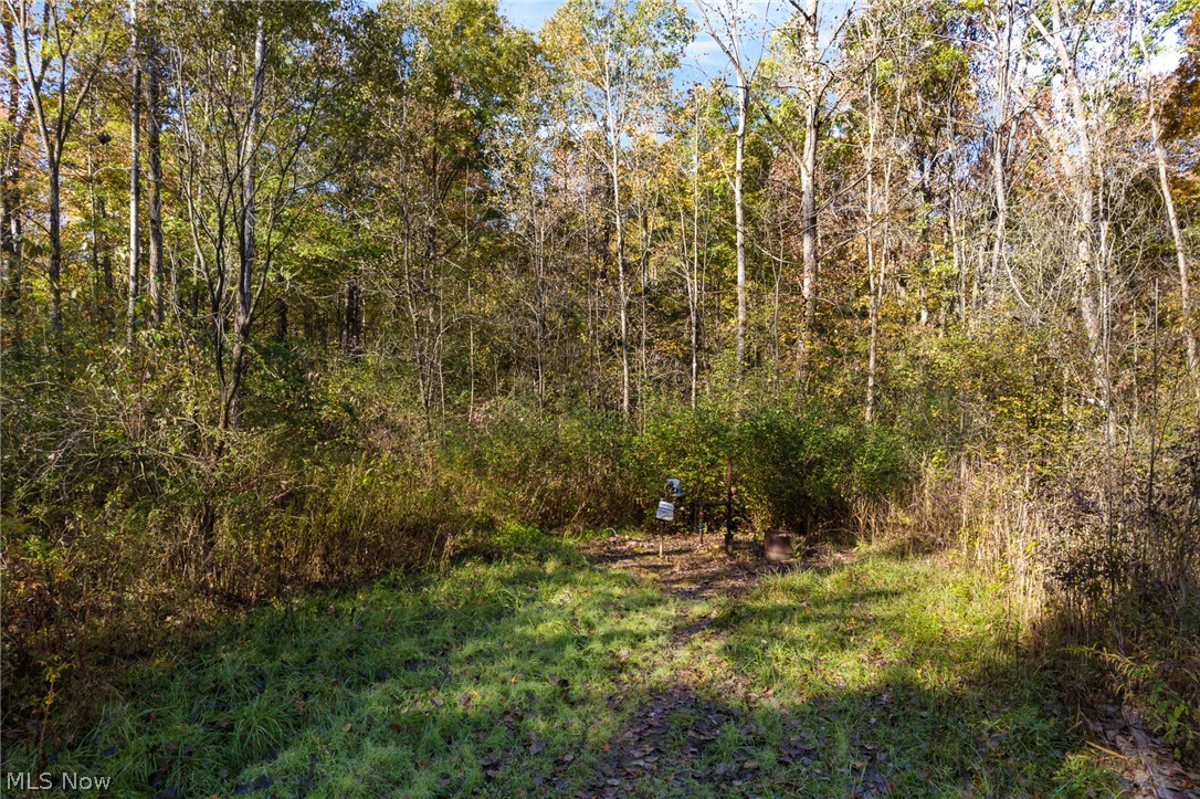 Wayland Road Deerfield OH 44411
