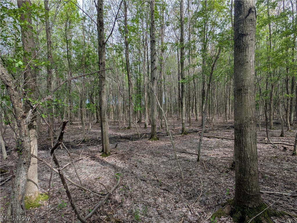 Balch Road Thompson OH 44086