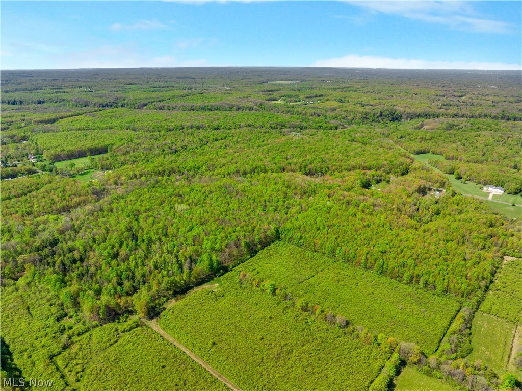 Balch Road Thompson OH 44086