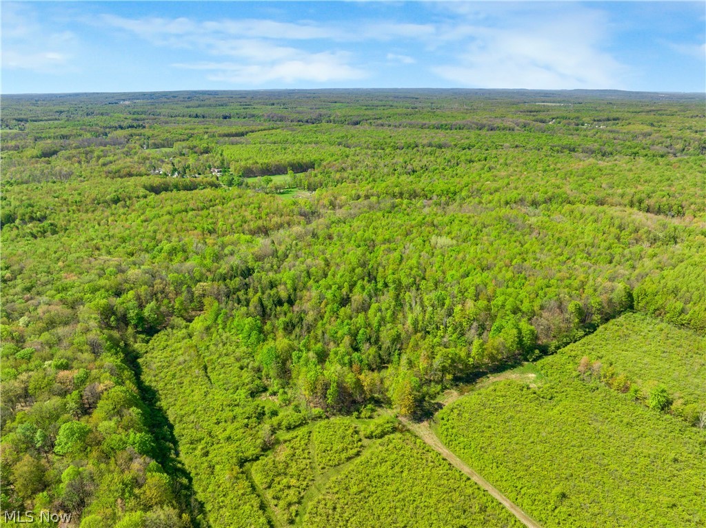 Balch Road Thompson OH 44086