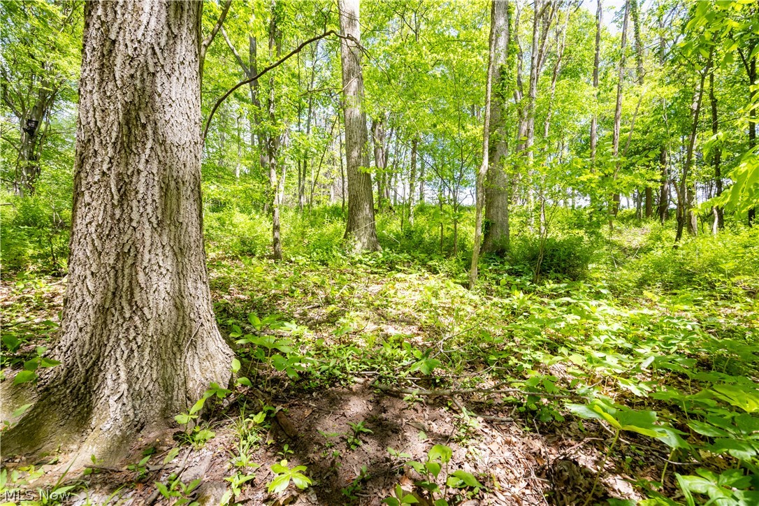 0 Township Road 250 Newcomerstown OH 43832