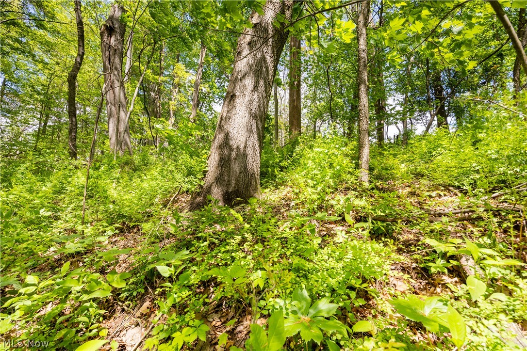 0 Township Road 250 Newcomerstown OH 43832