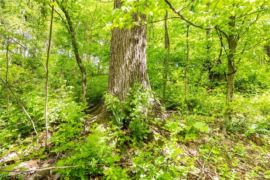 0 Township Road 250 Newcomerstown OH 43832