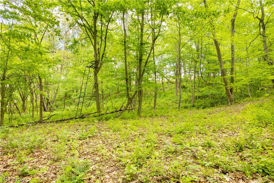 0 Township Road 250 Newcomerstown OH 43832