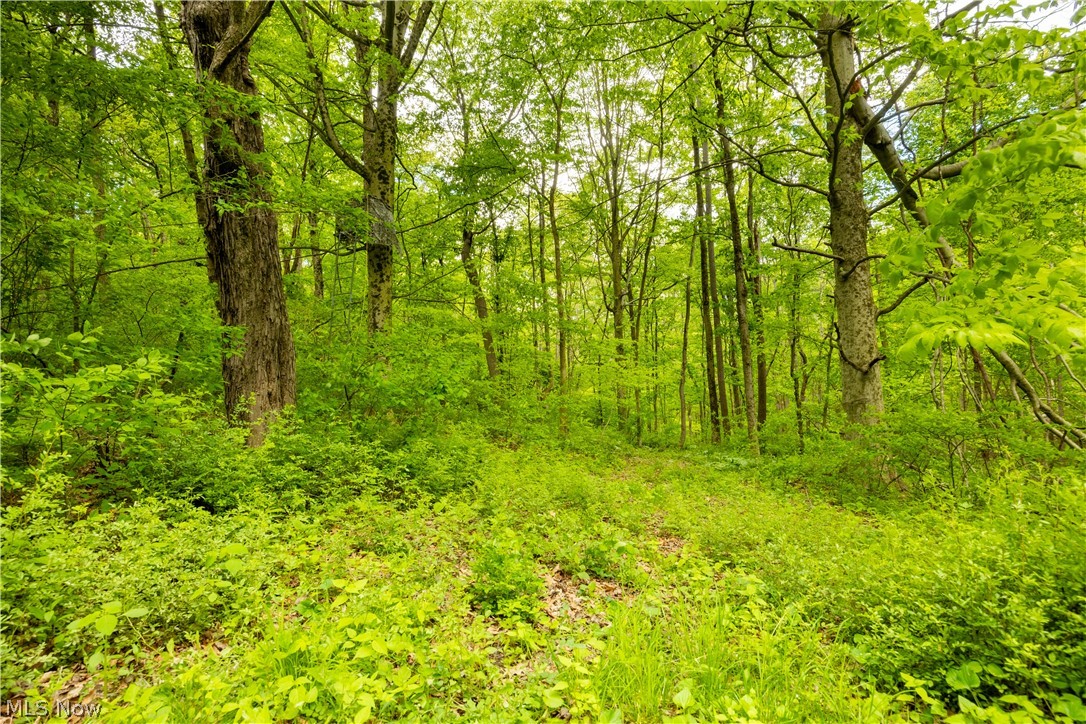 0 Township Road 250 Newcomerstown OH 43832