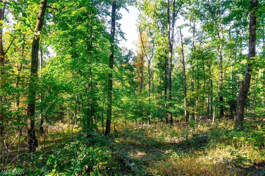 4097 College Hill Road Cambridge OH 43725