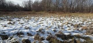 7687 Ravenna Road Hudson OH 44236