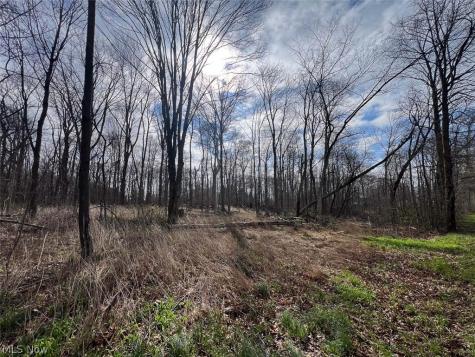 Schubert Avenue NE Alliance OH 44601