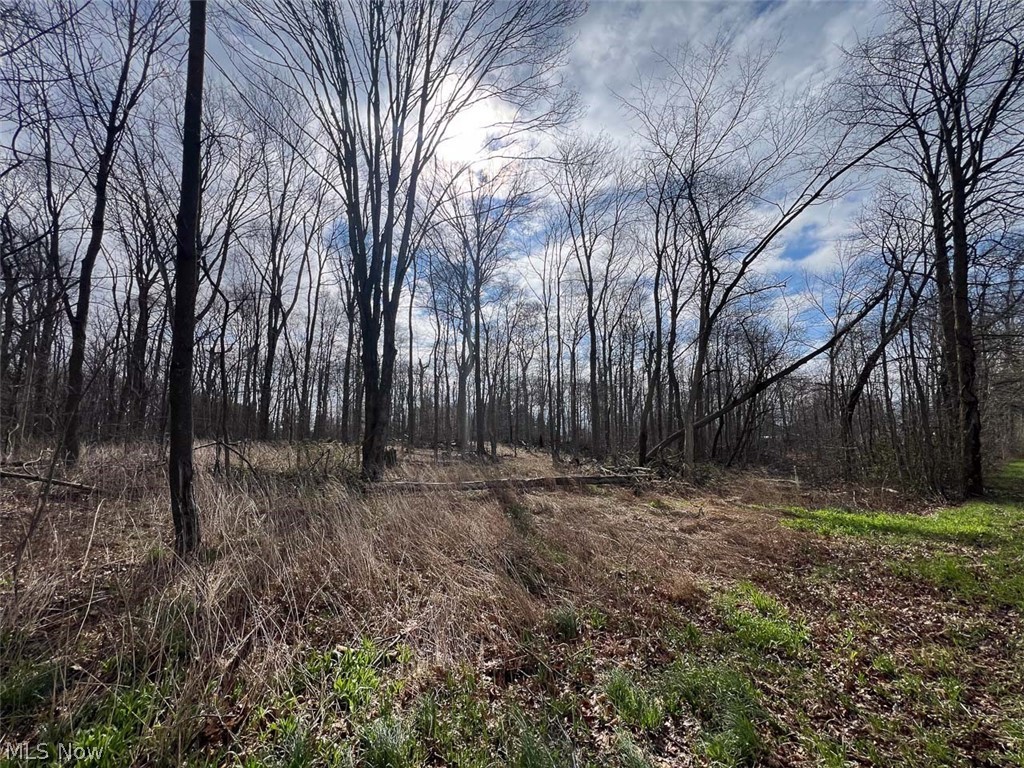 Schubert Avenue NE Alliance OH 44601