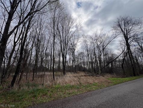 Schubert Avenue NE Alliance OH 44601