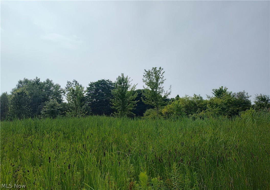 Vl Mcmackin Road Madison OH 44057