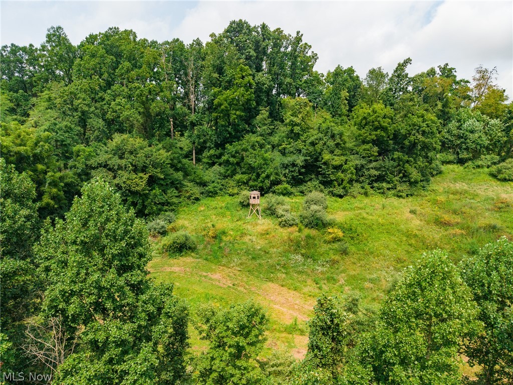 40977 Township Road 64b Dresden OH 43821
