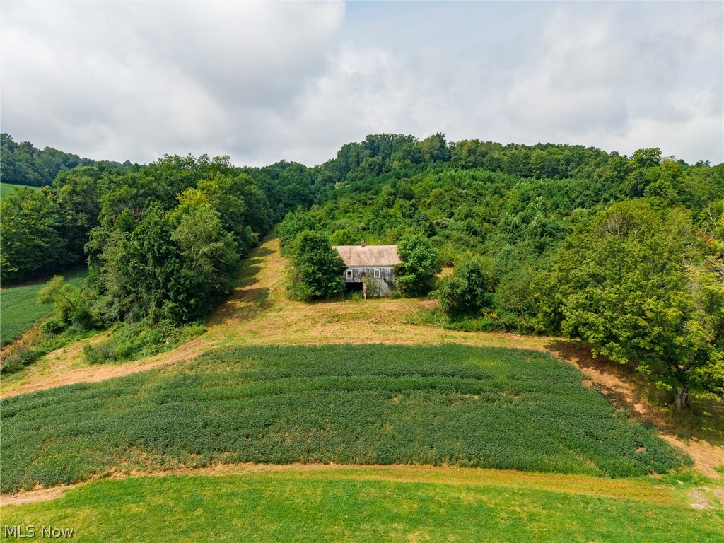 40977 Township Road 64b Dresden OH 43821