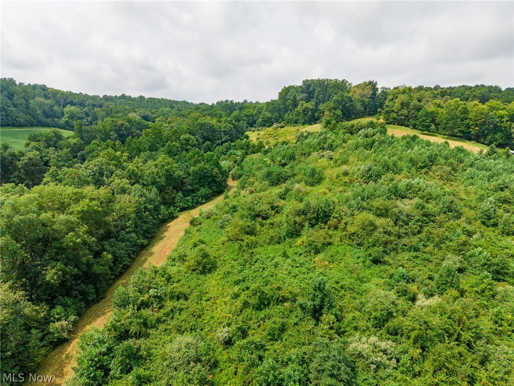 40977 Township Road 64b Dresden OH 43821