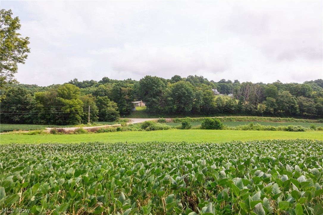 40977 Township Road 64b Dresden OH 43821