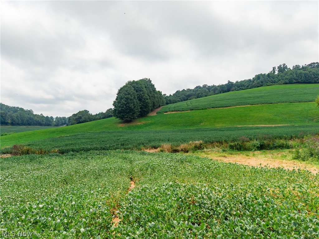 40977 Township Road 64b Dresden OH 43821