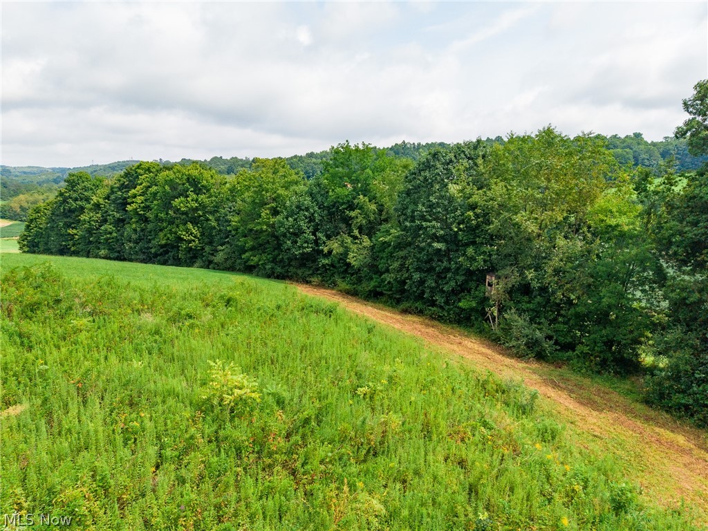 40977 Township Road 64b Dresden OH 43821