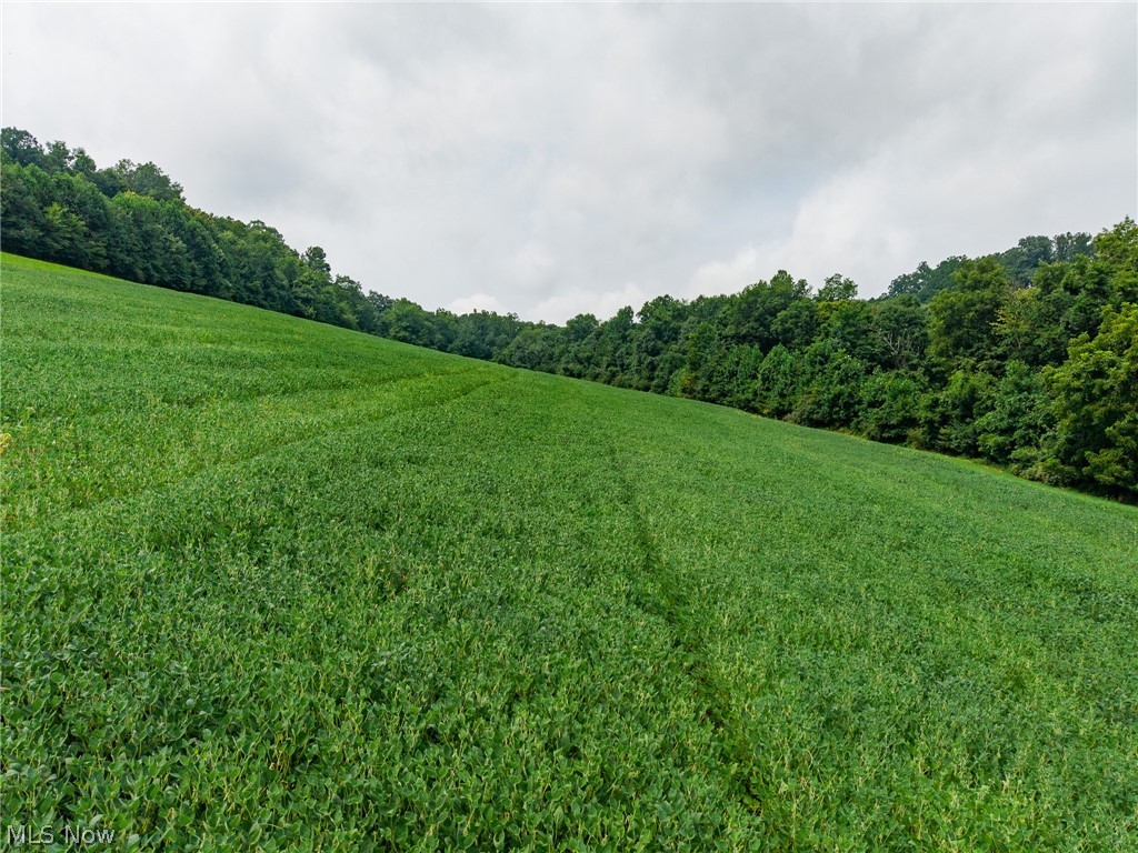 40977 Township Road 64b Dresden OH 43821