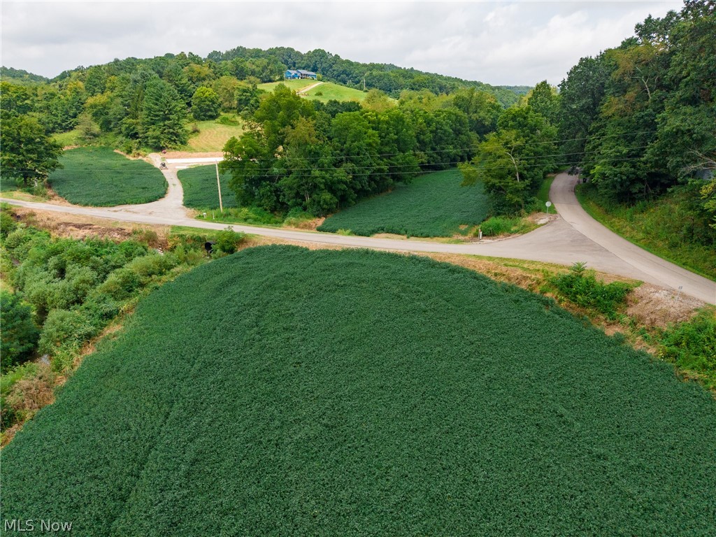 40977 Township Road 64b Dresden OH 43821