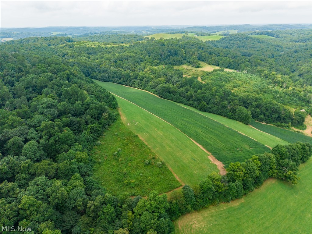 40977 Township Road 64b Dresden OH 43821