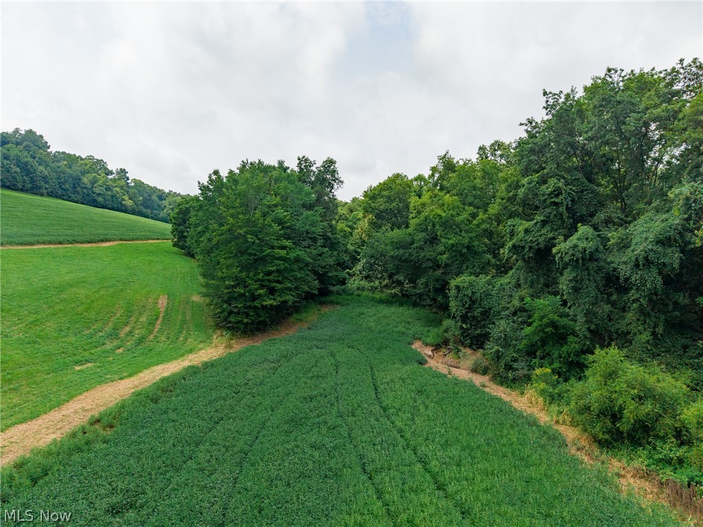 40977 Township Road 64b Dresden OH 43821