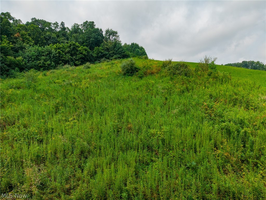 40977 Township Road 64b Dresden OH 43821