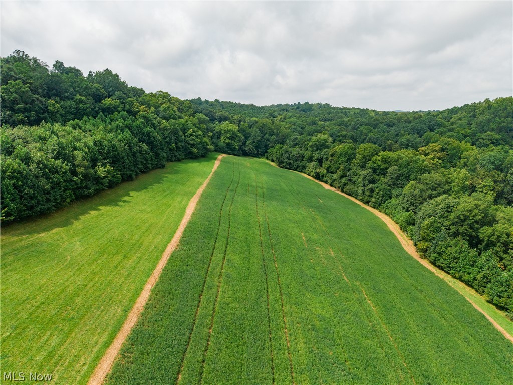 40977 Township Road 64b Dresden OH 43821