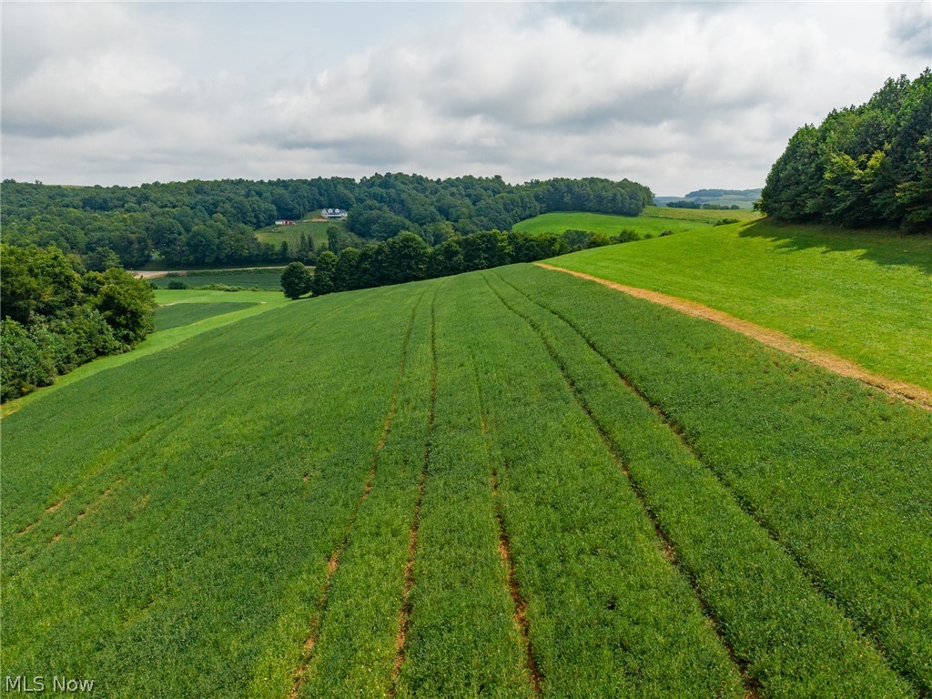 40977 Township Road 64b Dresden OH 43821