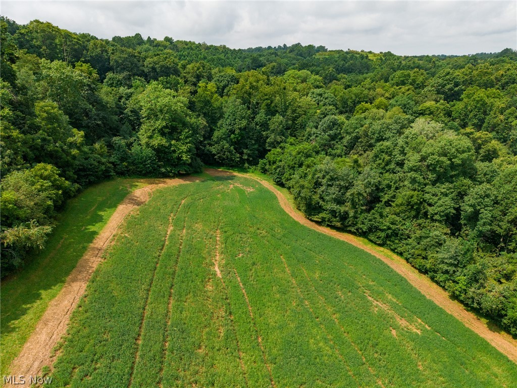 40977 Township Road 64b Dresden OH 43821