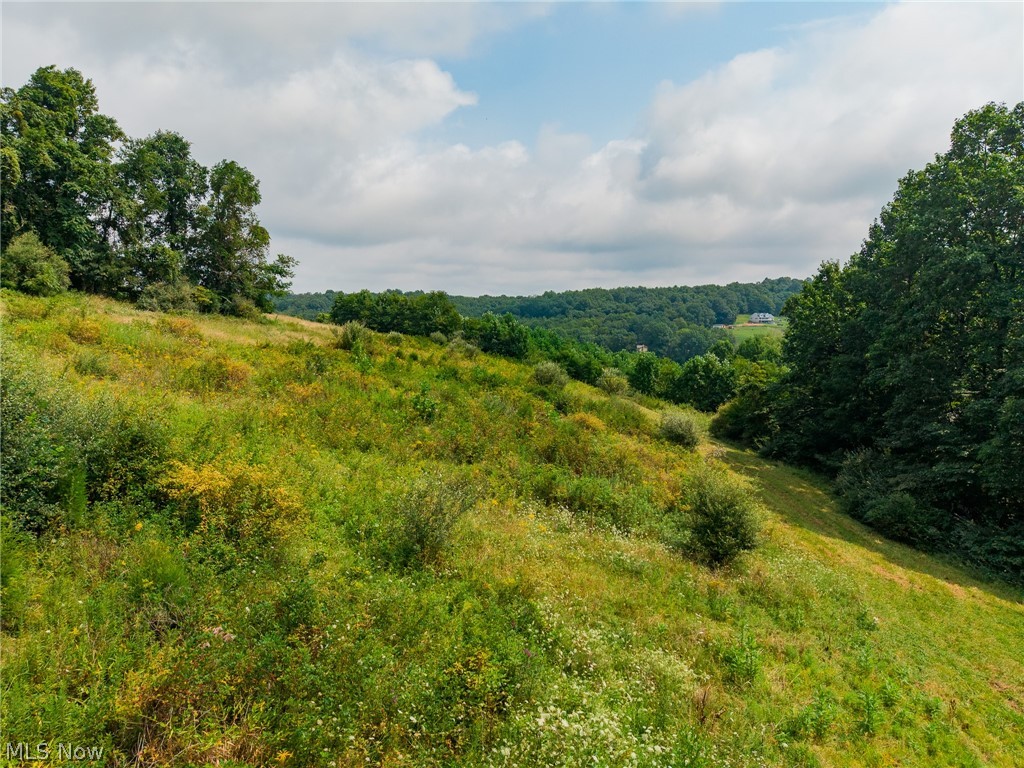 40977 Township Road 64b Dresden OH 43821
