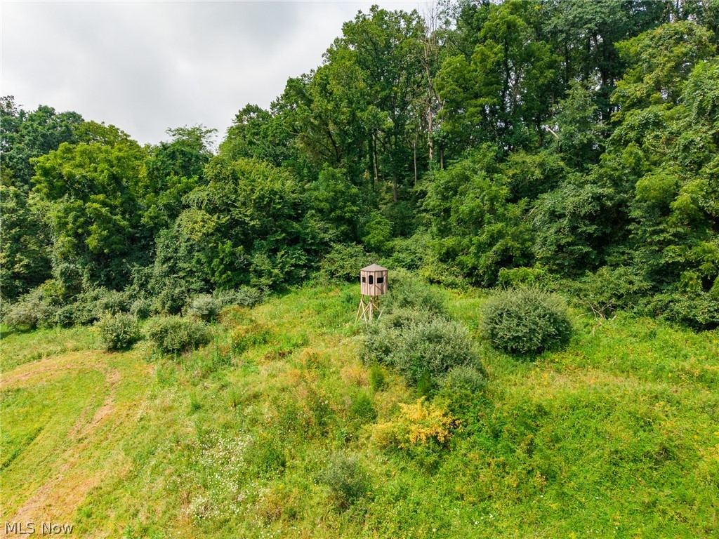 40977 Township Road 64b Dresden OH 43821