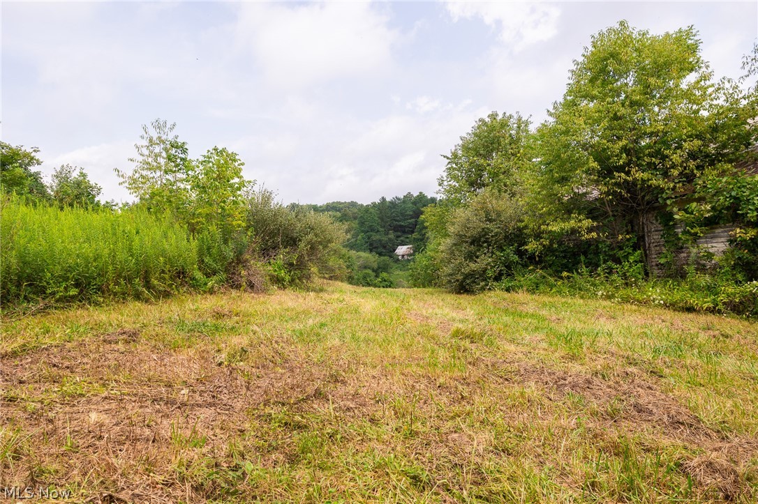 40977 Township Road 64b Dresden OH 43821