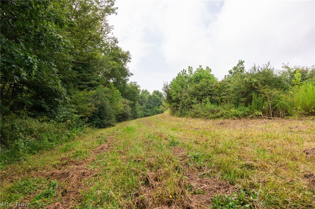 40977 Township Road 64b Dresden OH 43821