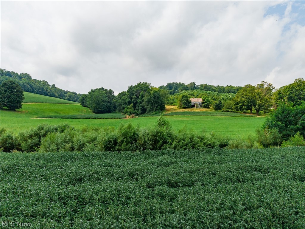 40977 Township Road 64b Dresden OH 43821