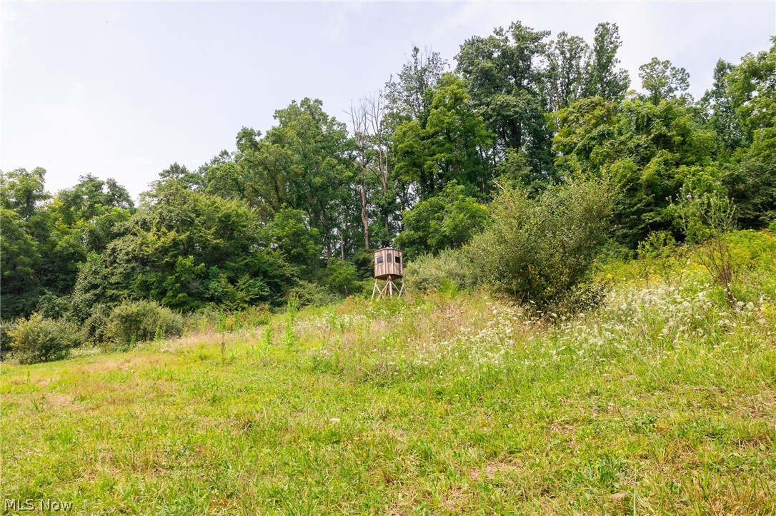 40977 Township Road 64b Dresden OH 43821