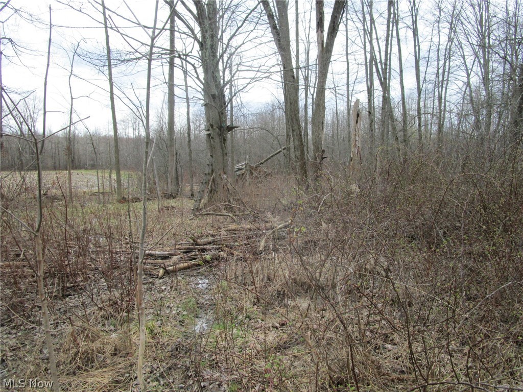 4381 Higley Road Rome OH 44085