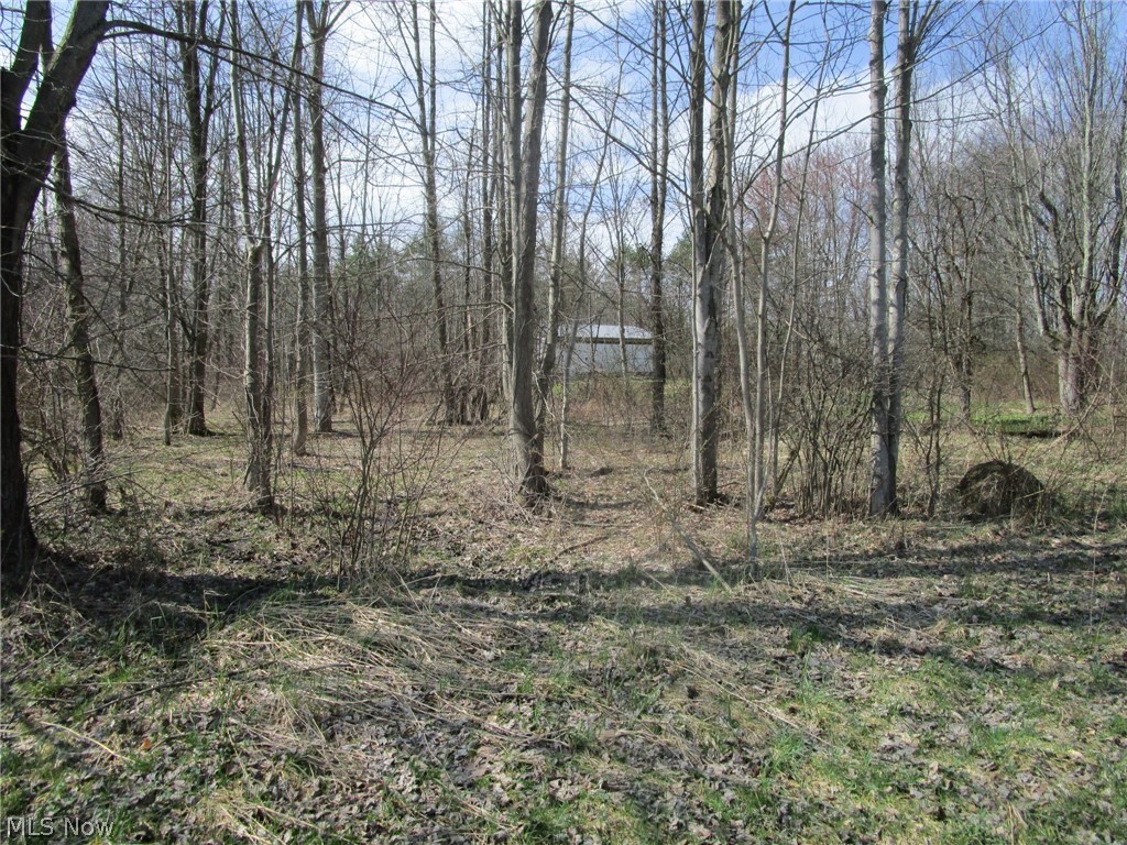 4381 Higley Road Rome OH 44085