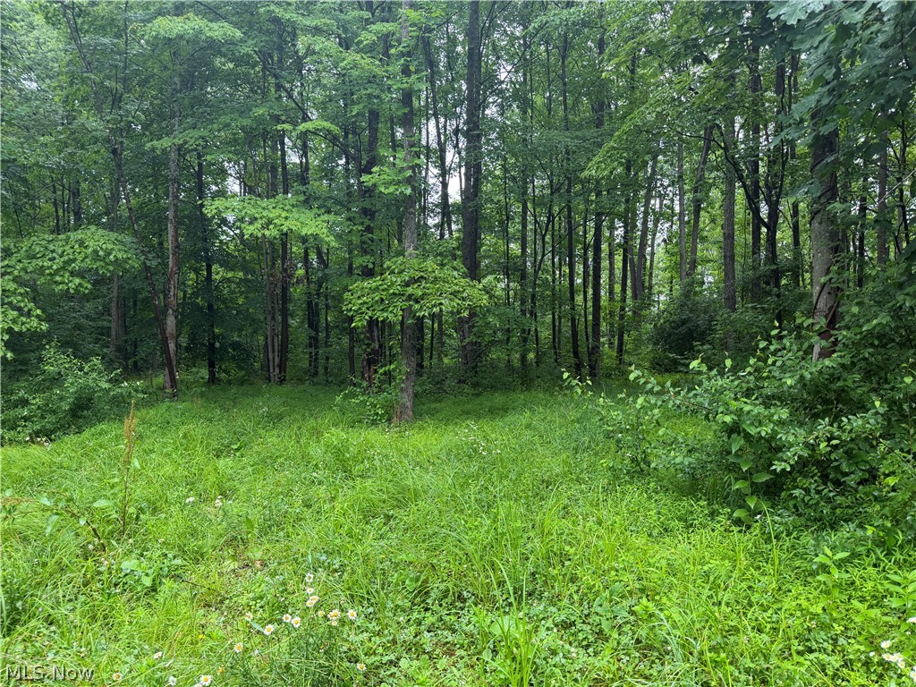 19440 Township Rd 67 Road Warsaw OH 43844