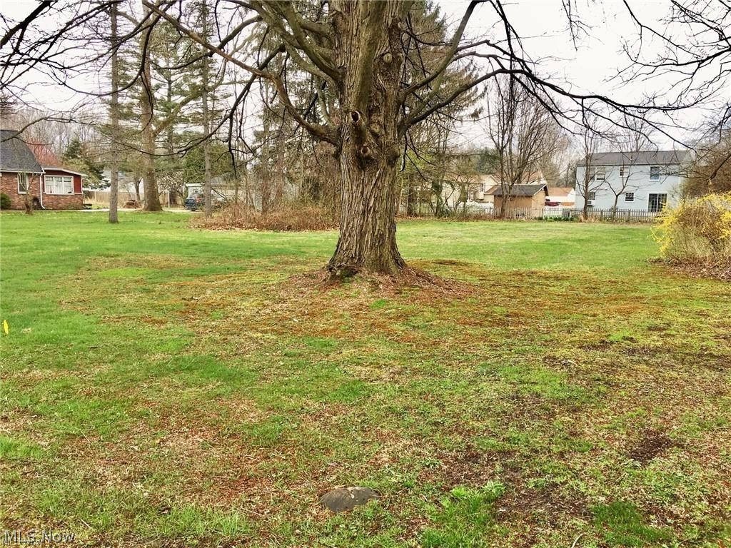 V/l Morgan Drive Painesville OH 44077