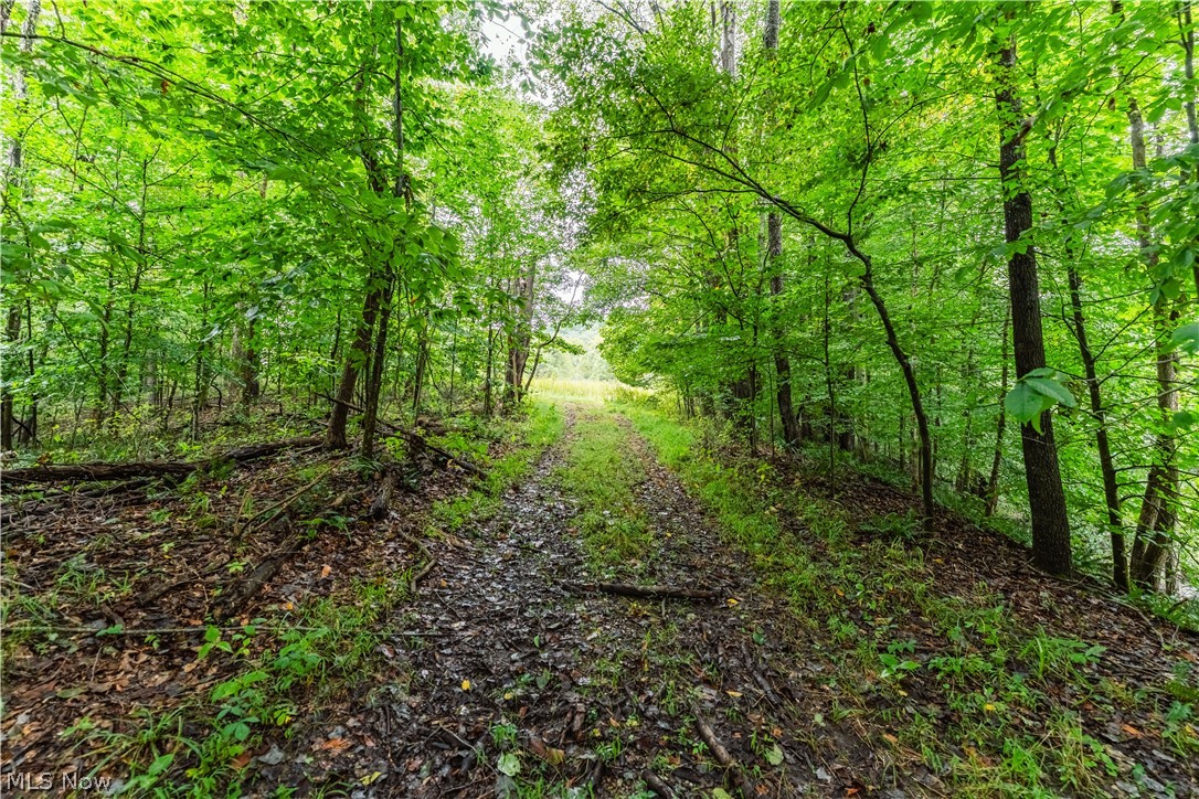 36810 Township Road 68a Dresden OH 43821