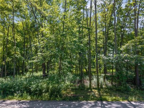 Cranage Road Olmsted Falls OH 44138