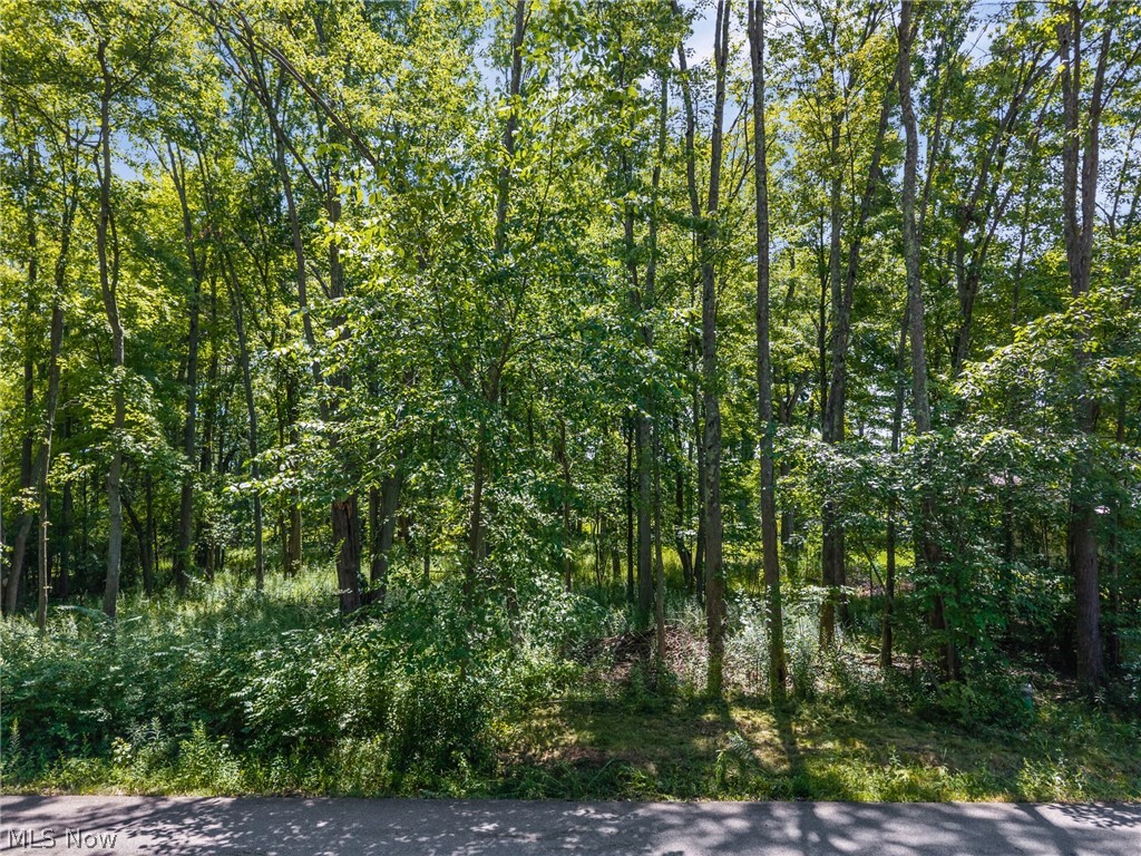 Cranage Road Olmsted Falls OH 44138
