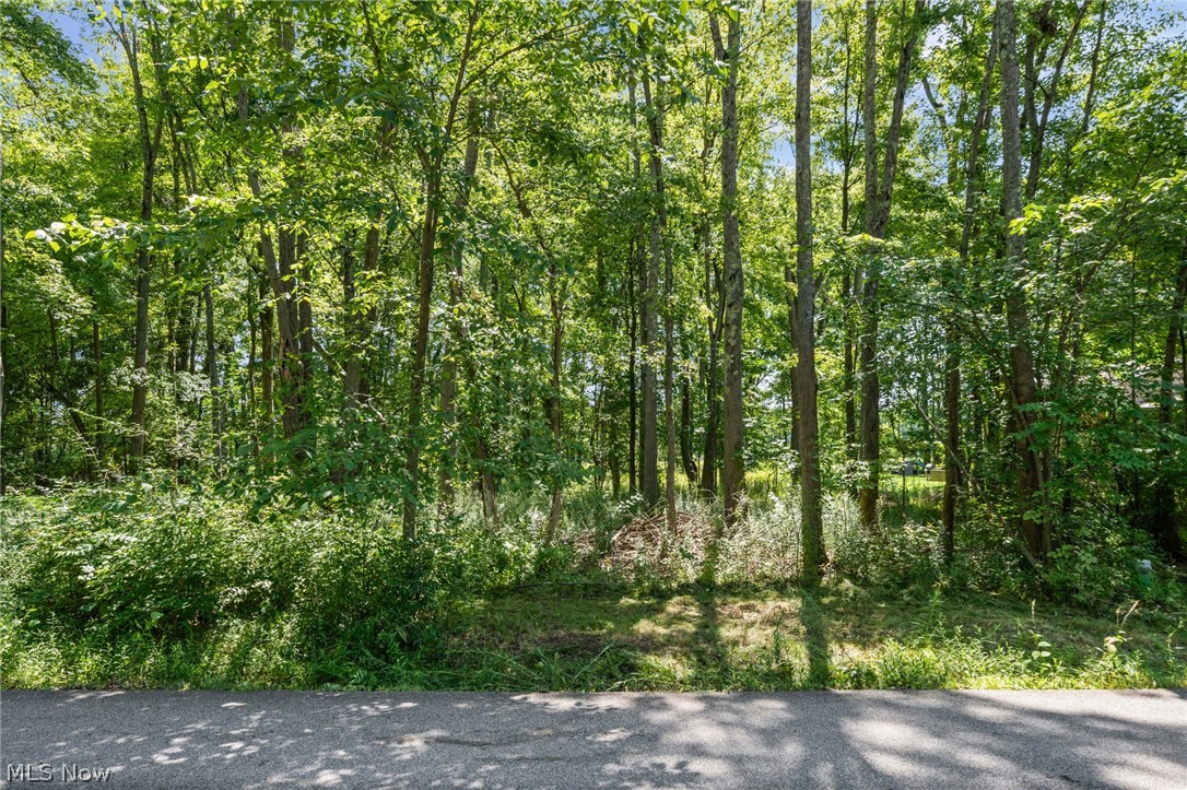 Cranage Road Olmsted Falls OH 44138