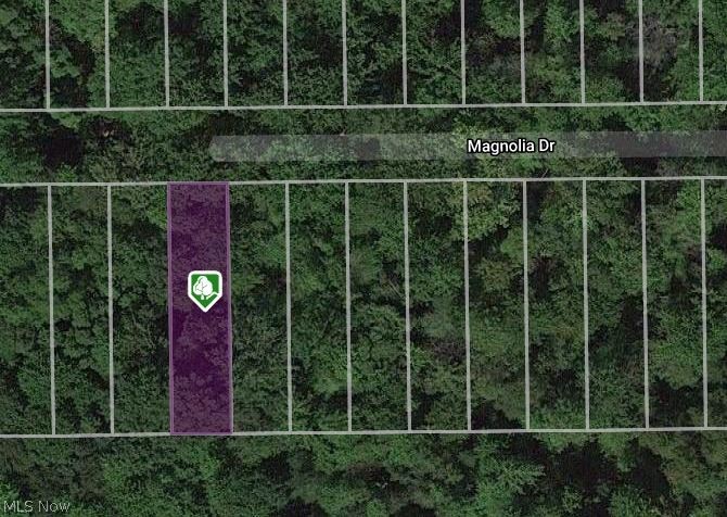 V/l Magnolia #17 Drive Madison OH 44057