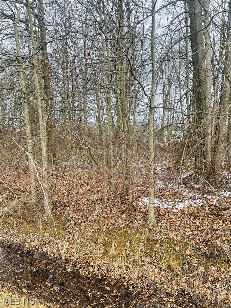 Lot 113 Breezewood Lane Orwell OH 44076