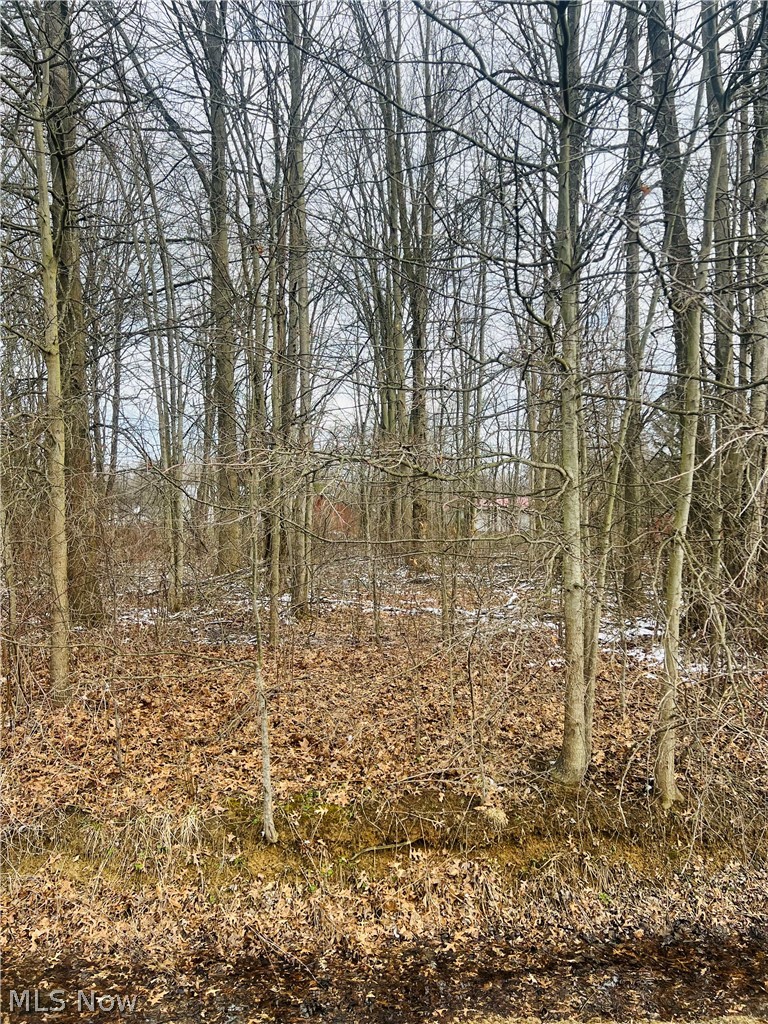 Lot 113 Breezewood Lane Orwell OH 44076