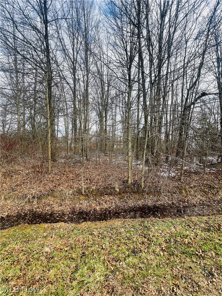 Lot 113 Breezewood Lane Orwell OH 44076